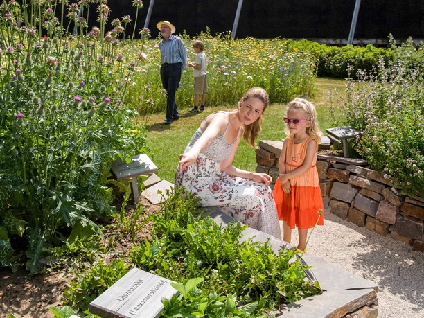 Kneipp-Gesundheitstag