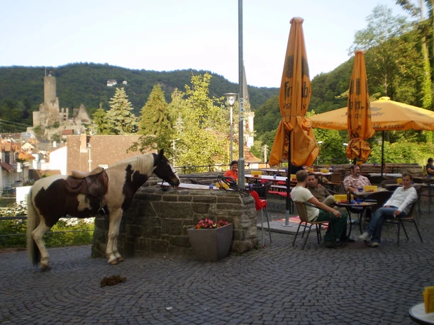 Blick auf Burg Eppstein