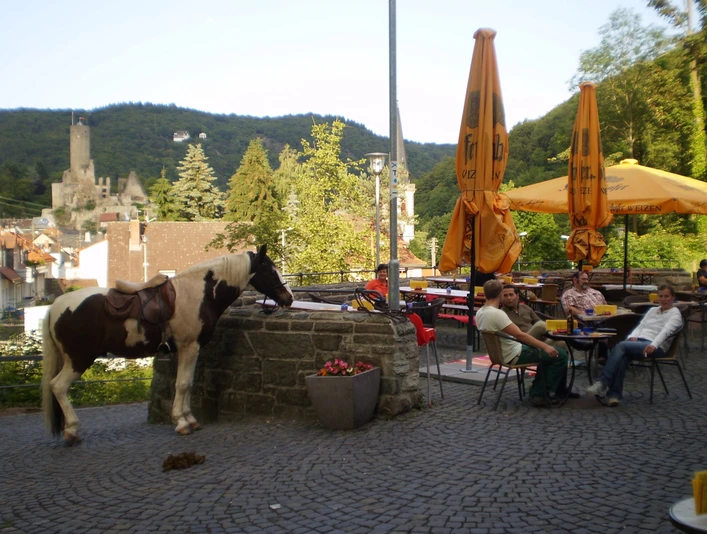 Blick auf Burg Eppstein