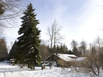 Anitas Fuchstanz mit dem Waldgasthaus im Hintergrund