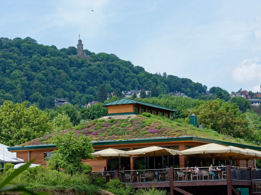 Restaurant Sambesi im Opel-Zoo