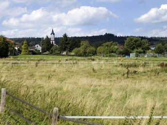 Blick auf Usingen-Eschbach
