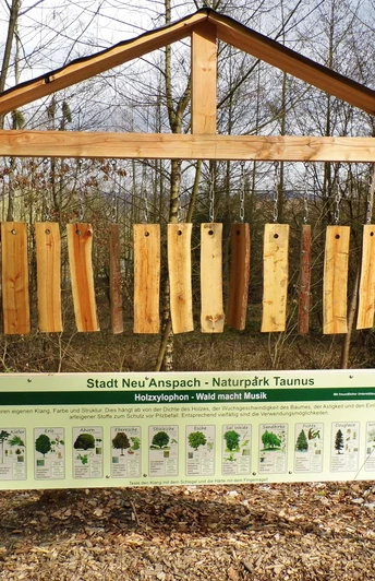 Holzxylophon