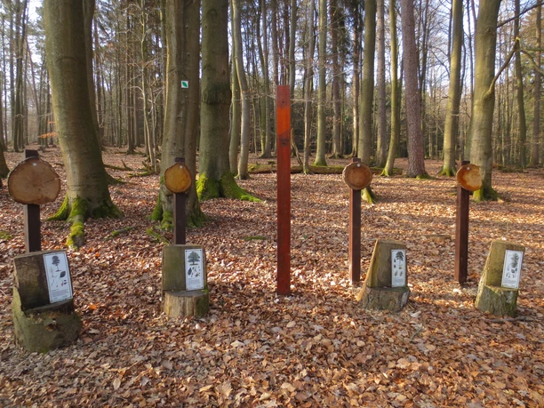 Naturerlebnispfad Wildschweinroute