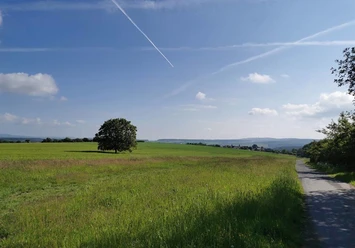 Taunuslehrpfad