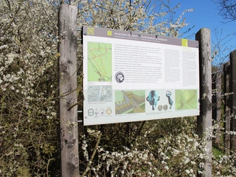 Schautafel am Keltenrundwanderweg