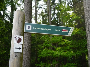 Wegweiser mit Markierung auf dem Limeserlebnispfad Hochtaunus