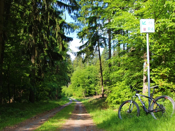 Hessischer Radfernweg R6 bei Usingen