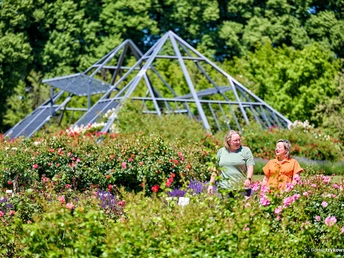 Erlebnispunkt Rosarium Hattersheim