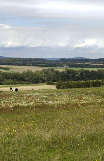 Das Usinger Land bei Wehrheim