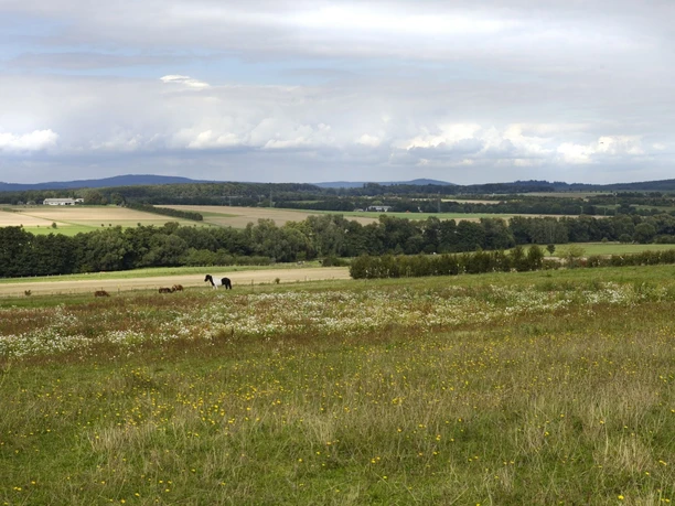 Landschaftsbild Wehrheim