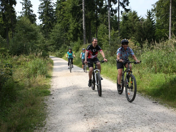 Radfahrer auf dem Deutschen-Limes Radweg