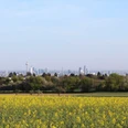 Blick auf die Skyline Frankfurt im Vordertaunus