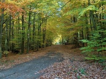 Verlauf der Vortaunustour