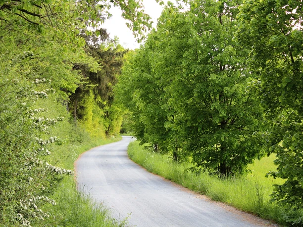 Usa-Radweg in der Nähe des Baudenberghofes
