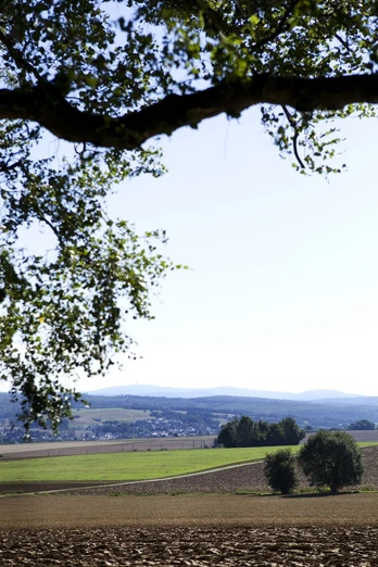Umgebung von Bad Camberg