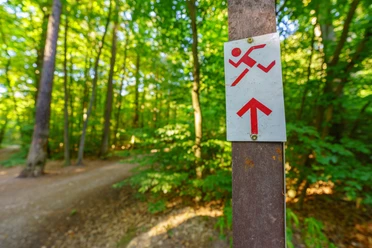 Rote Route im Hardtwald