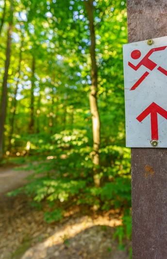 Rote Route im Hardtwald