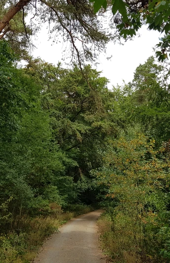 Die Jammerecke im Nordic-Walking-Park Merzhausen