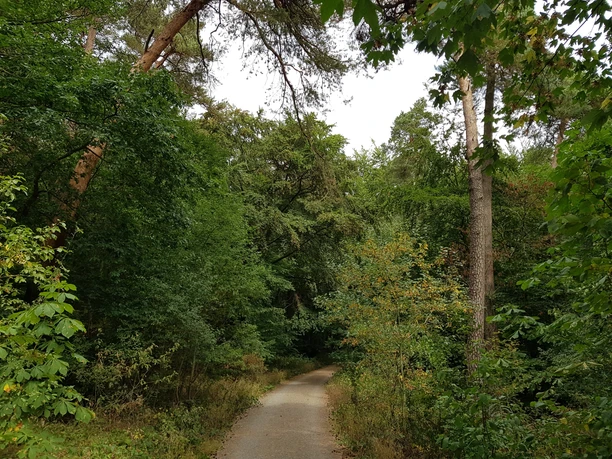 Die Jammerecke im Nordic-Walking-Park Merzhausen