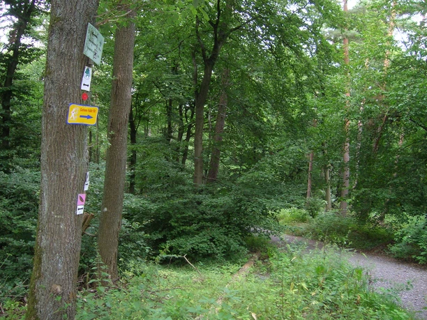 "Gehen hält fit" auf dem Ochsenweg