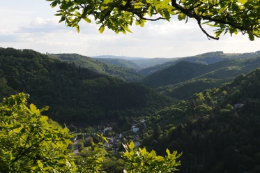 Wisper Trail Dickschieder Wildwechsel