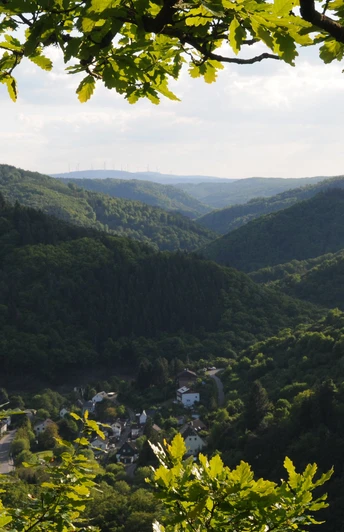 Wisper Trail Dickschieder Wildwechsel