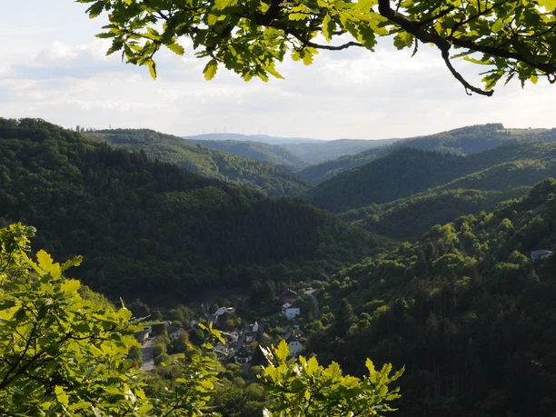 Wisper Trail Dickschieder Wildwechsel