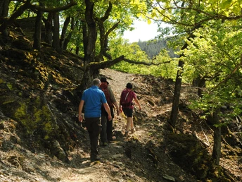 Wisper Trail Dickschieder Wildwechsel
