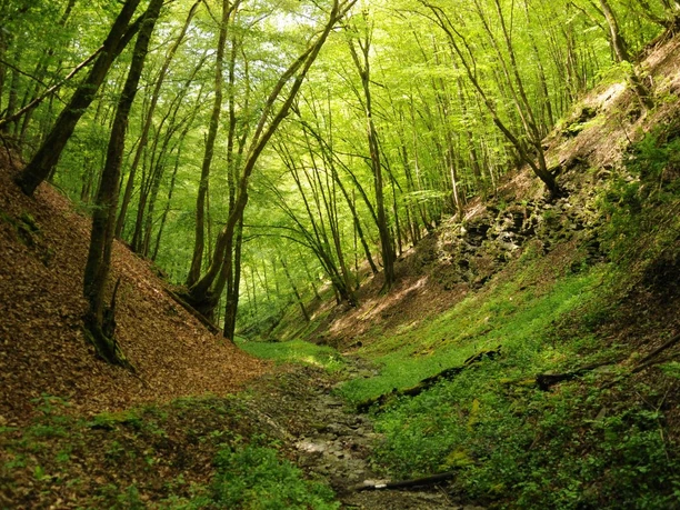 Wisper Trail Im Wisper Outback