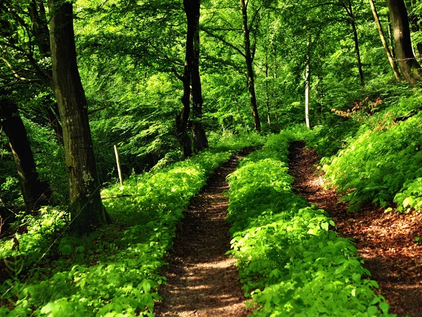 Wisper Trail Im Wisper Outback