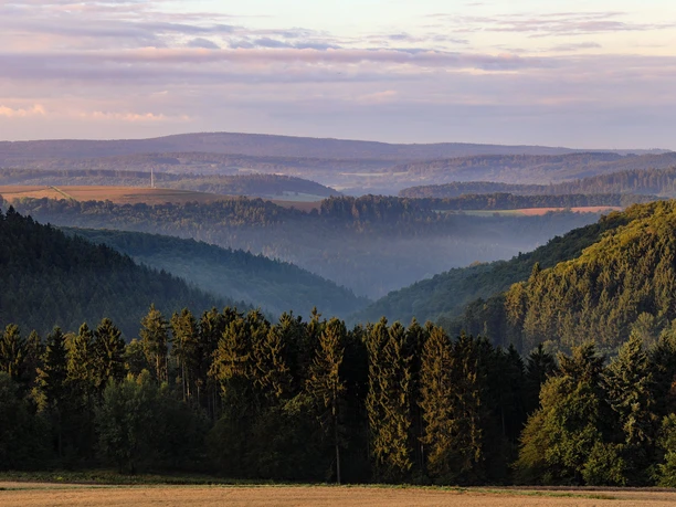 Wisper Trail Naurother Grubengold