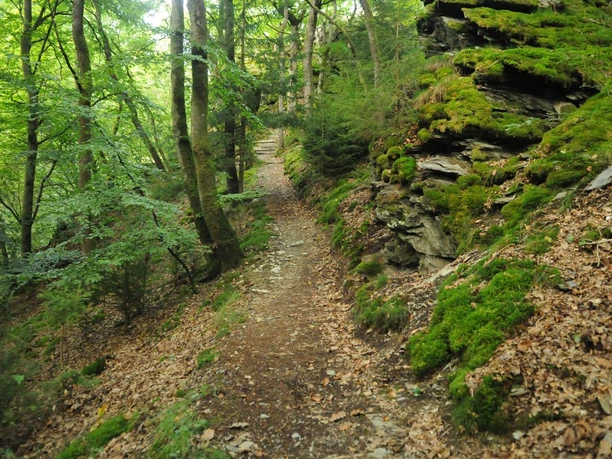 Wisper Trail Naurother Grubengold