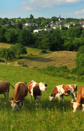 Wisper Trail Der Überhöhische