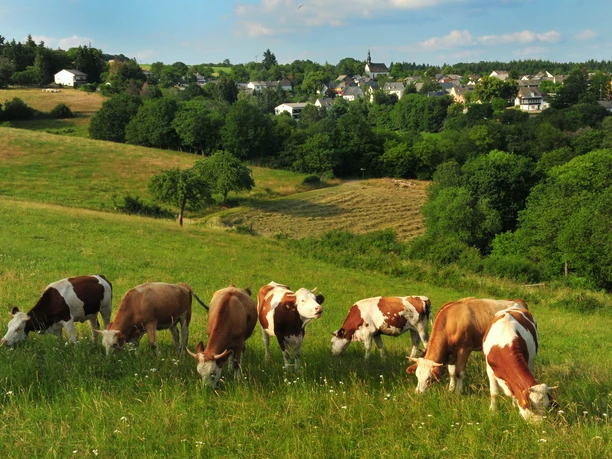 Wisper Trail Der Überhöhische