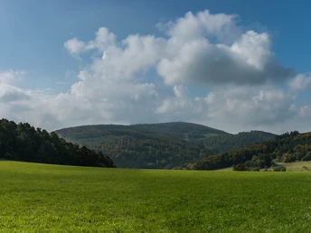 Der Pferdskopf in Schmitten