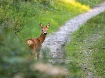 Wanderweg Ruhegeister