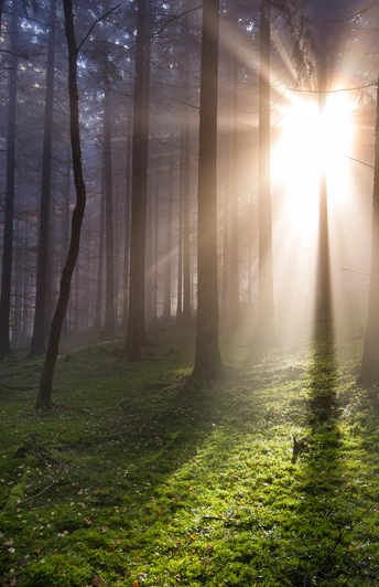 Wanderweg Waldgeister