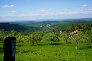 Taunus Schinderhannes Steig