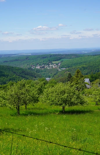 Taunus Schinderhannes Steig