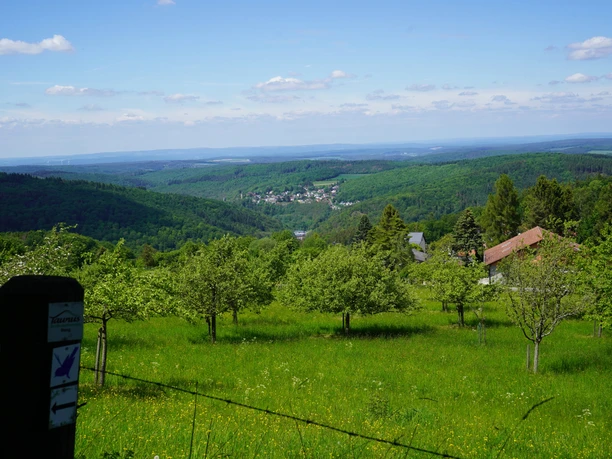 Taunus Schinderhannes Steig