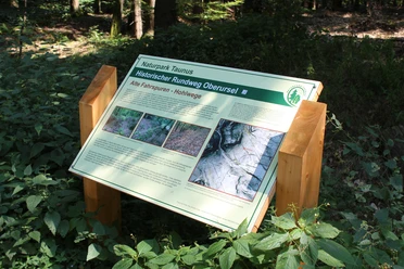 Pulttafel mit Informationen zu den Hohlwegen im Taunus