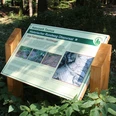 Pulttafel mit Informationen zu den Hohlwegen im Taunus