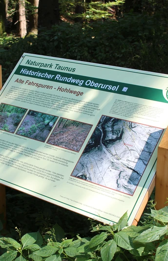 Pulttafel mit Informationen zu den Hohlwegen im Taunus