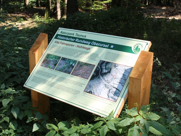 Pulttafel mit Informationen zu den Hohlwegen im Taunus