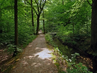 Werkgraben des Urselbachs