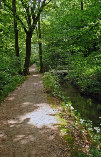 Werkgraben des Urselbachs