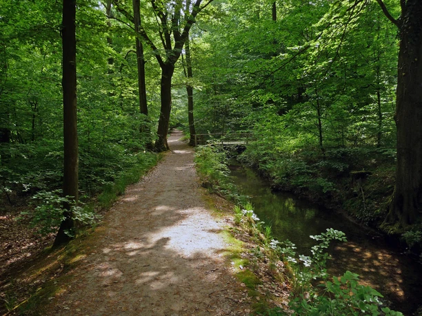 Werkgraben des Urselbachs