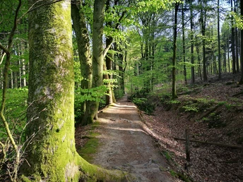 Unterwegs auf dem Mühlenwanderweg