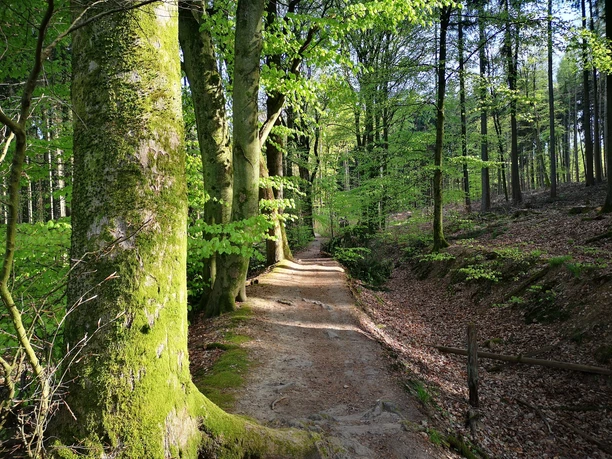 Unterwegs auf dem Mühlenwanderweg